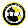 Blason Basket Côte Atlantique