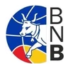 Blason Basket Nord Béarn