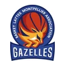 Blason Basket Lattes Montpellier