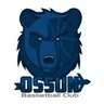 Blason Basket Club Ossunois